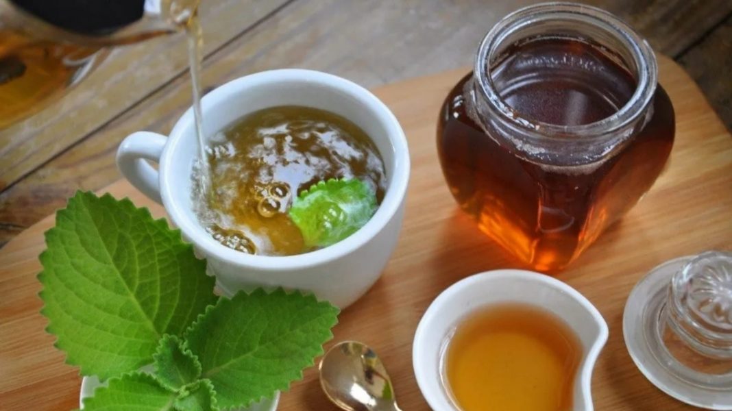 beneficios y propiedades del té de orégano