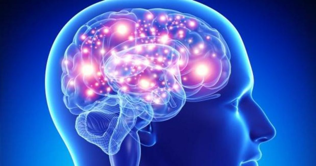 COVID podría reducir partes del cerebro