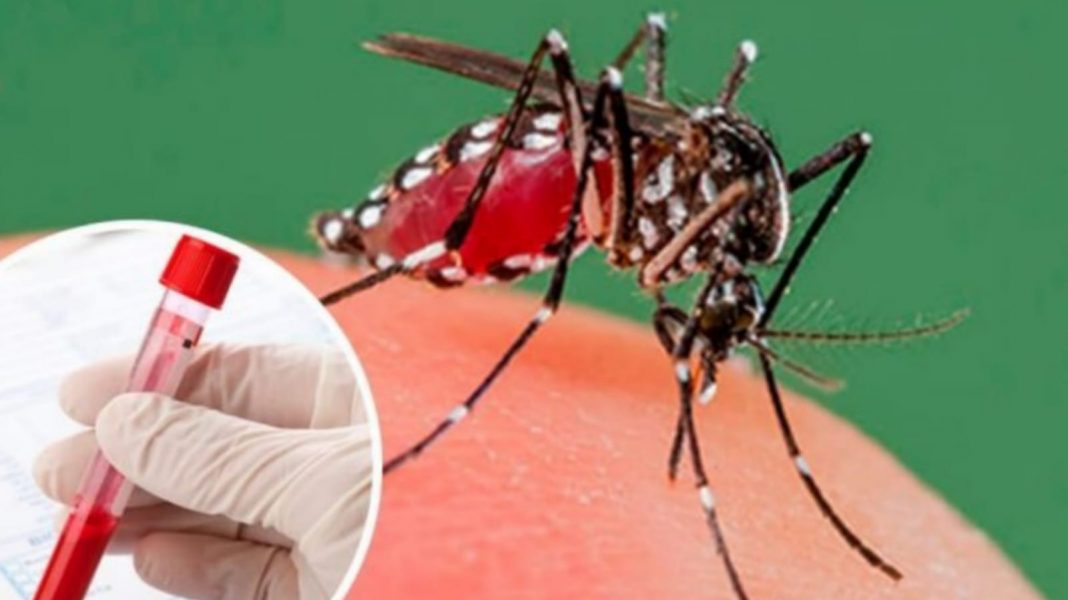 SESAL muertes dengue grave