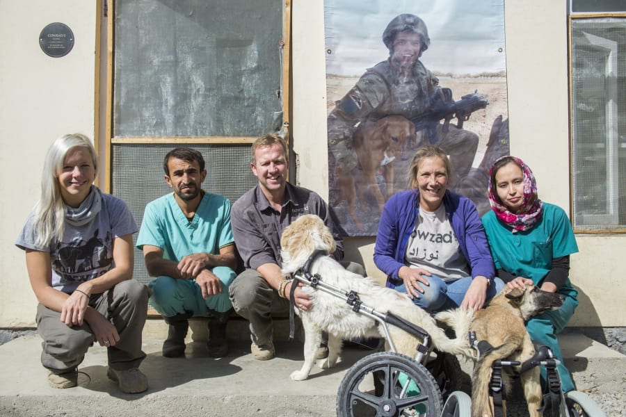 Exmarine salva de Afganistán a animales