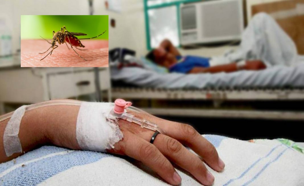 Casos de dengue en Cortés