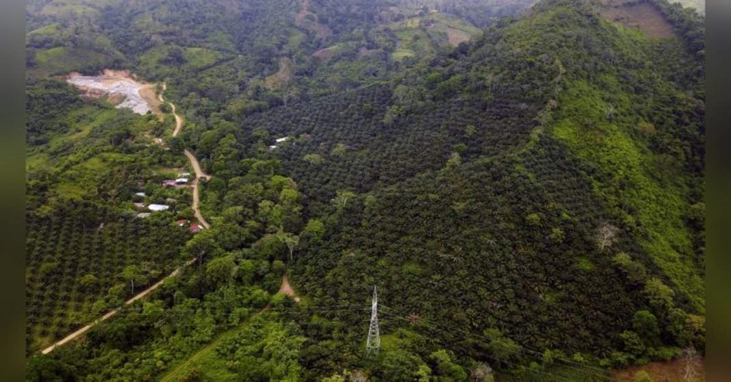 Honduras restaurará áreas protegidas