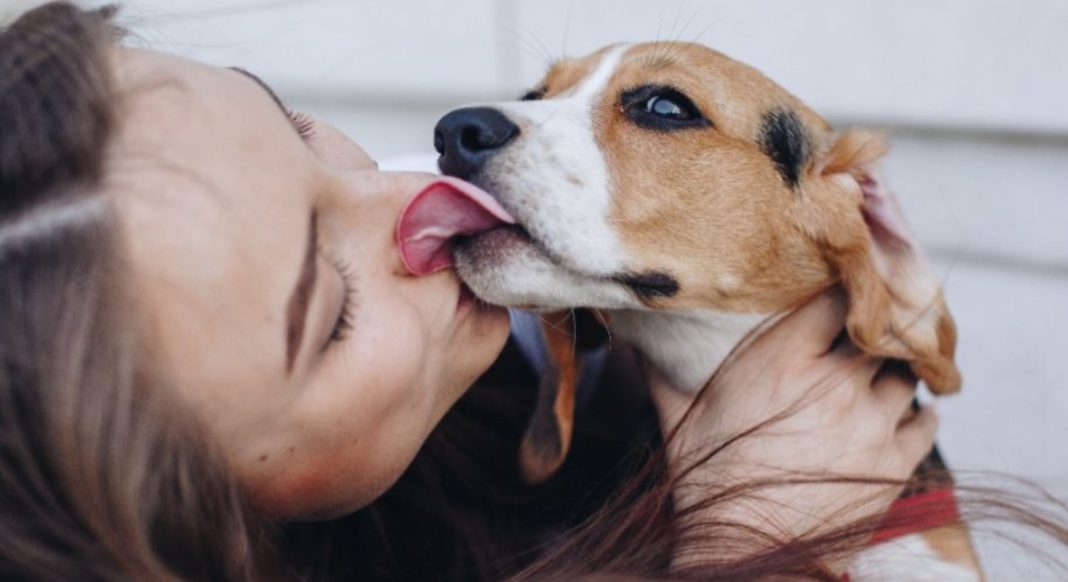 Enfermedades trasmiten perros saliva