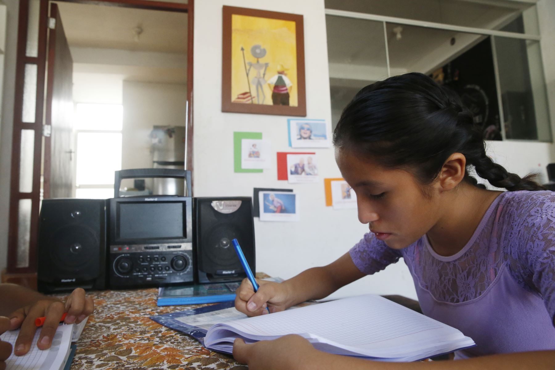 Dirigente educación precaria Honduras