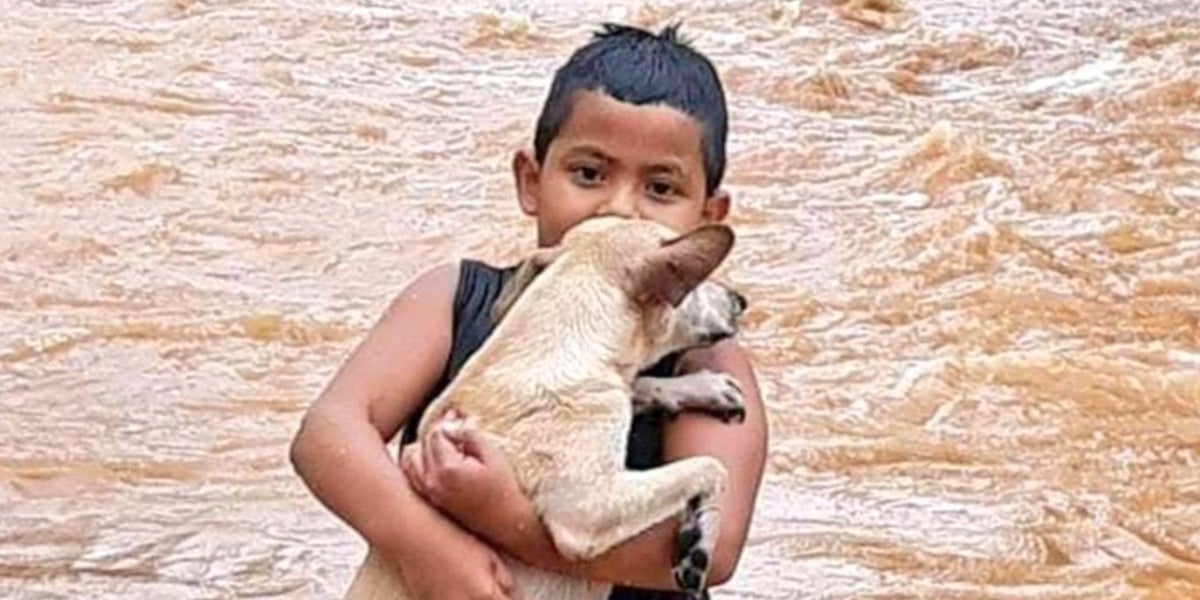 Niño salva a su perro de Eta