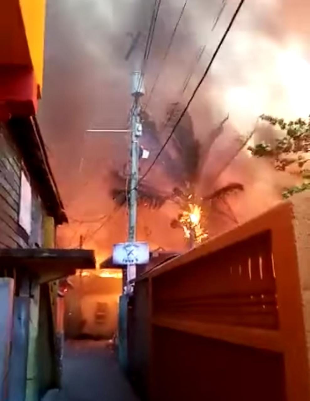 El fuego consumió palmeras, viviendas y dejó casi destruido el motor económico de Guanaja.