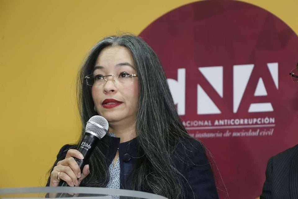El grupo de abogados denunció a Gabriela Castellanos, la directora del CNA.