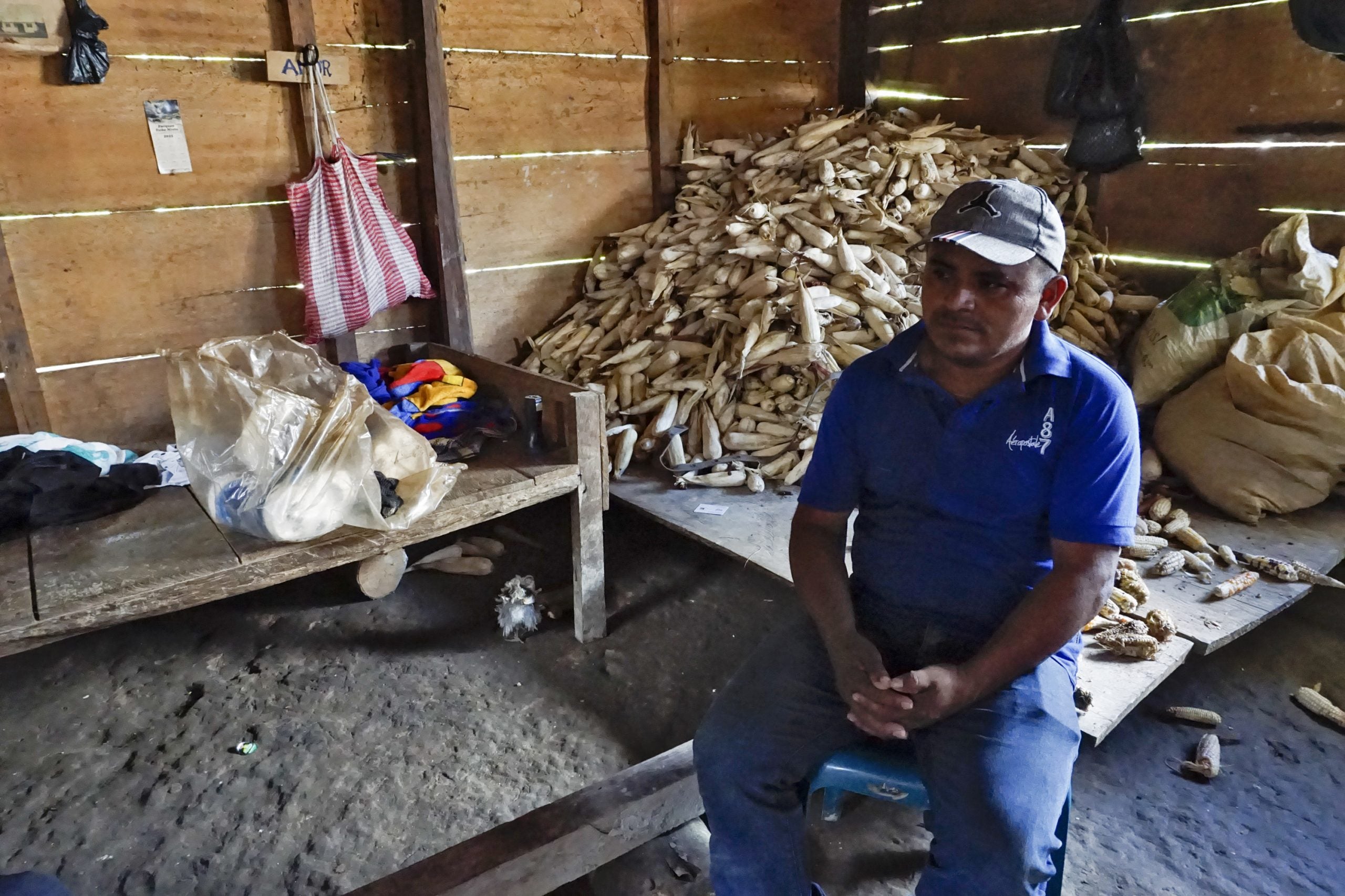 "Creo que el año entrante o este año me voy", dice con tristeza un poblador de Cerro Azul que perdió su cosecha de cardamomo.