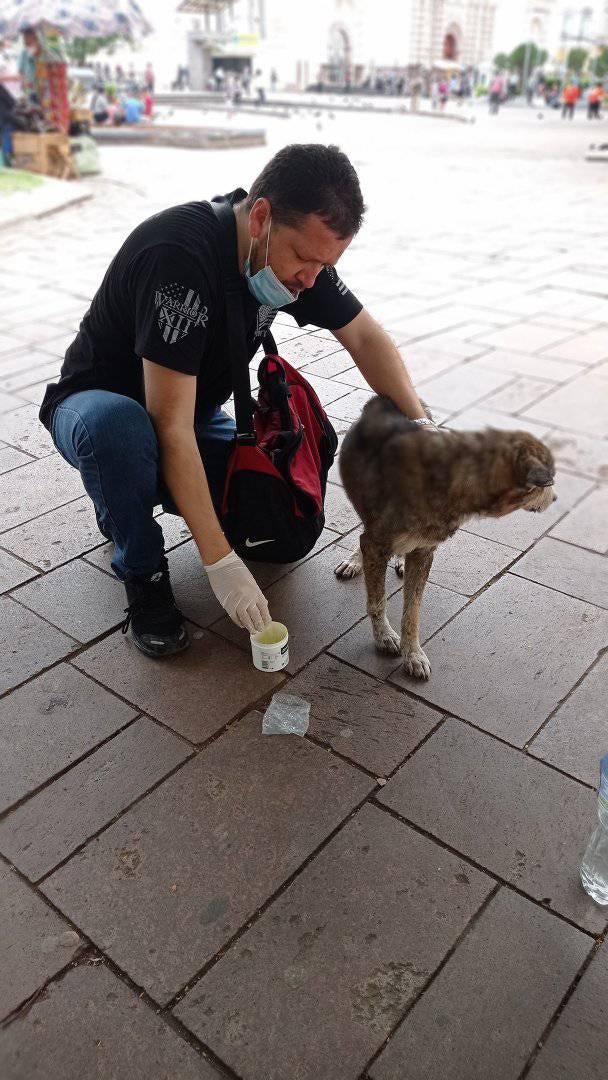 Además, se encarga de curar a los animalitos heridos en la calle.
