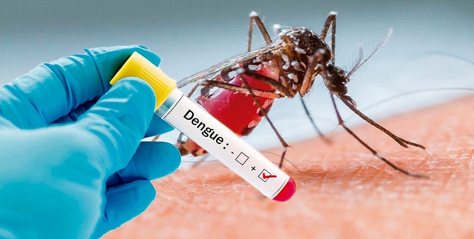 El dengue se transmite por la picada de un zancudo.
