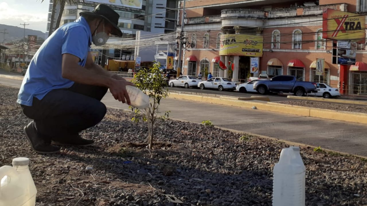 Don Javier planta árboles