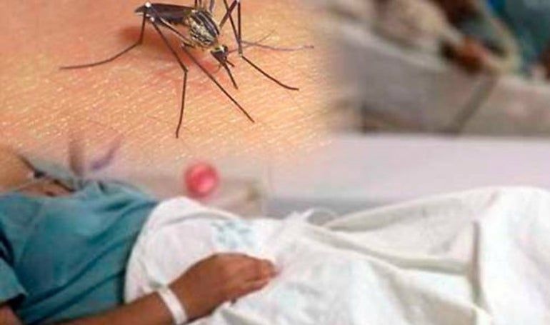 Muertos y casos de dengue Honduras