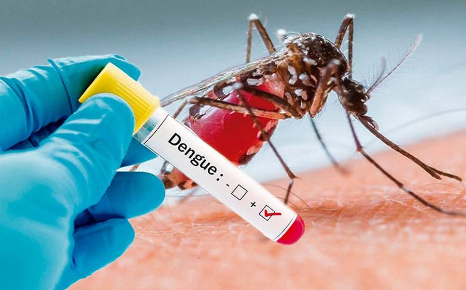 Cortés casos de dengue