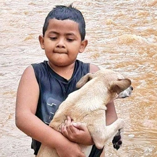 niño rescatando perro