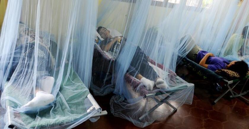 epidemia dengue honduras 2021