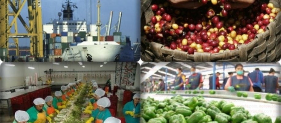 Crecen exportaciones en Honduras