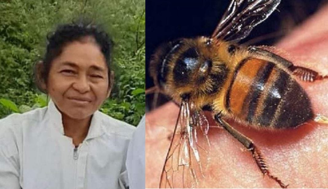 abejas matan ingeniera de la unag