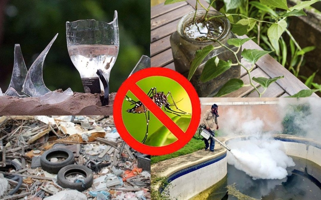 alerta colonias capitalinas dengue