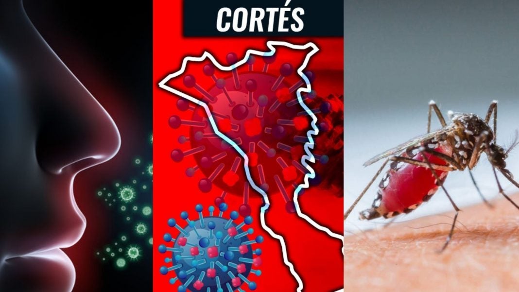 influenza COVID y dengue en Cortés