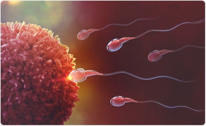 fertilidad masculina por covid-19