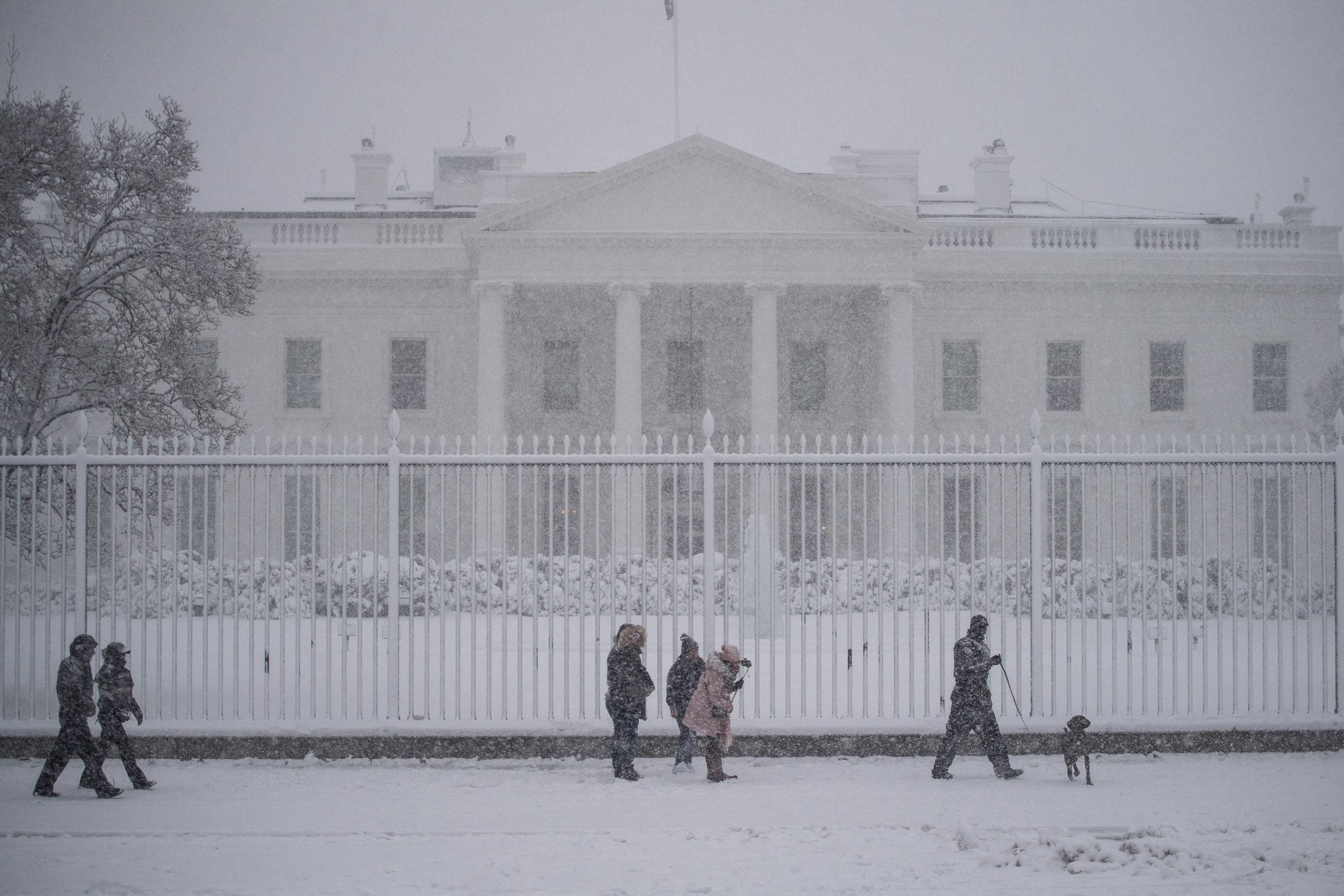 Pese a la potente tormenta de nieve, en las calles de Washington siguen circulando las personas.