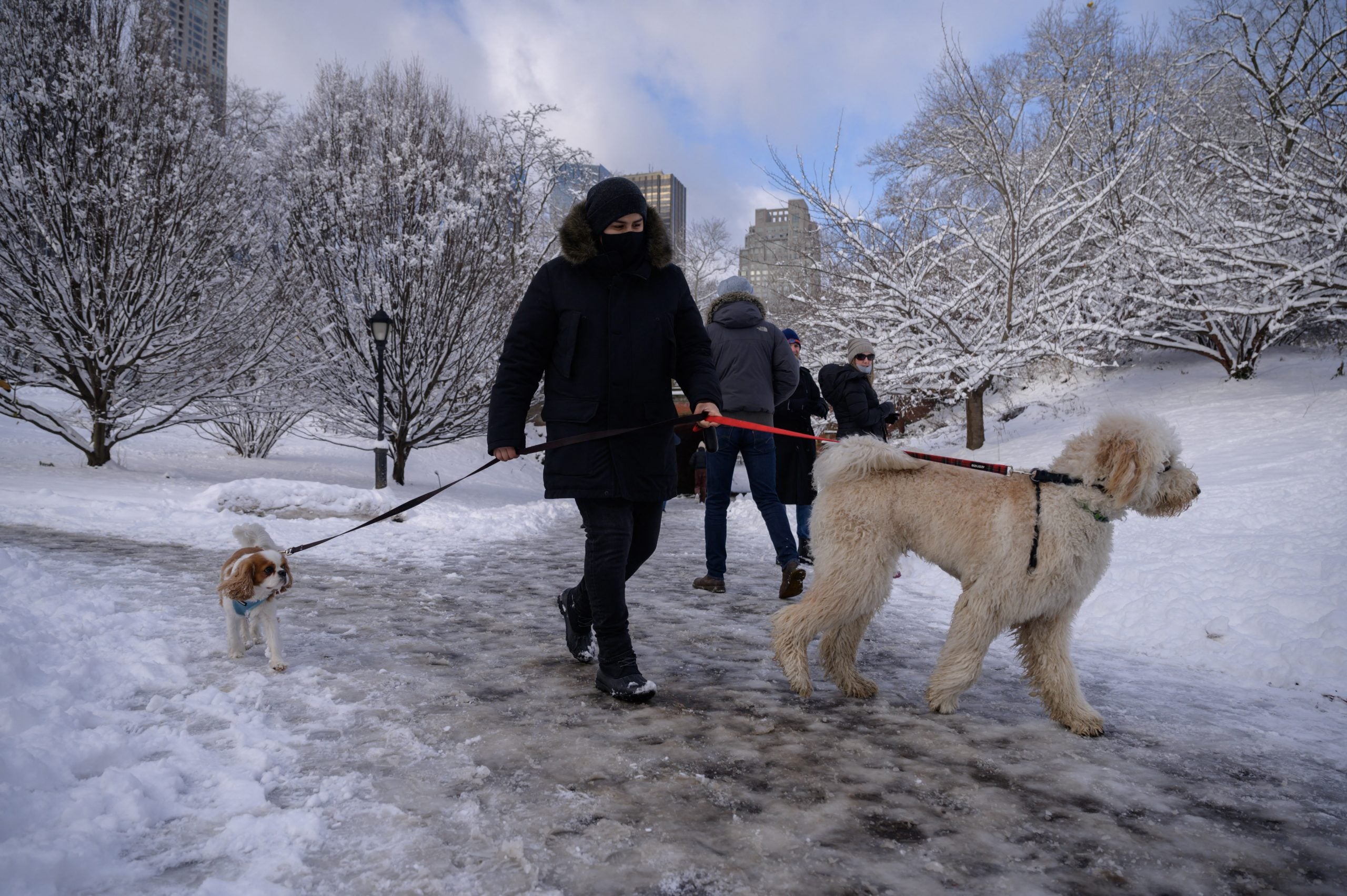 La gente camina en Central Park después de la primera tormenta de nieve.