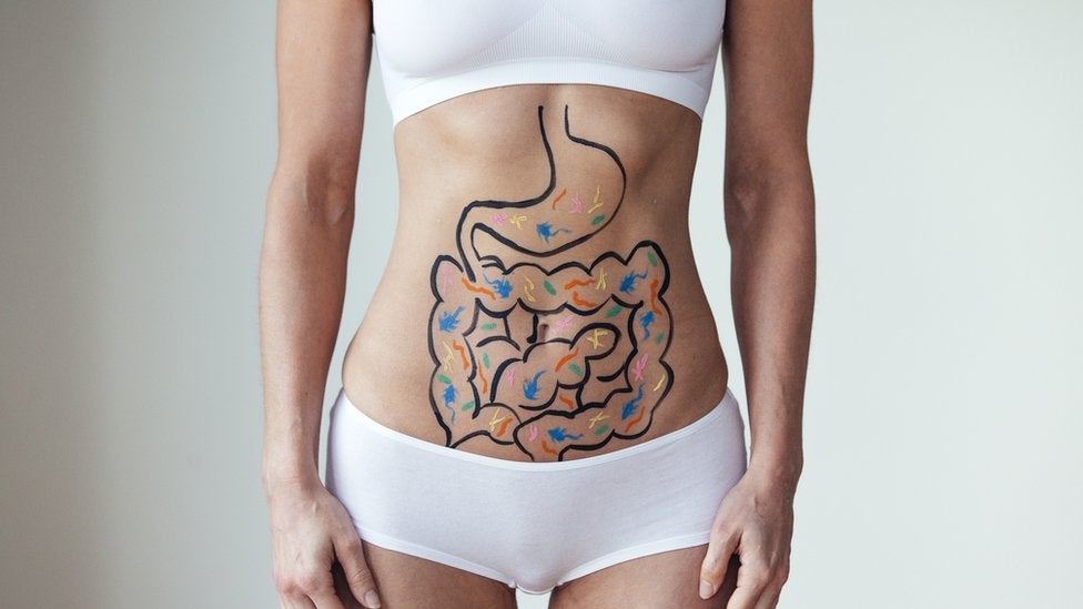 Los intestinos juegan un gran papel en nuestro organismo.