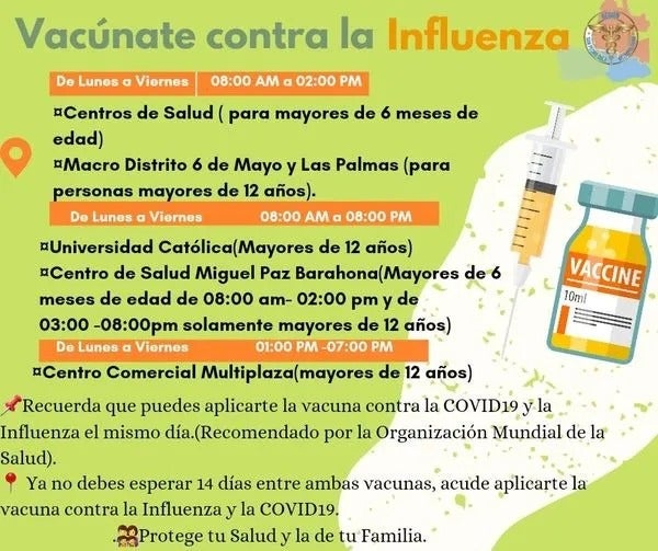 vacunación influenza salud