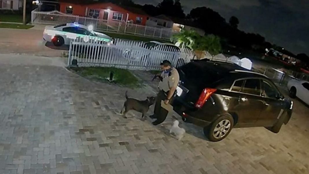 Video policía mata perro