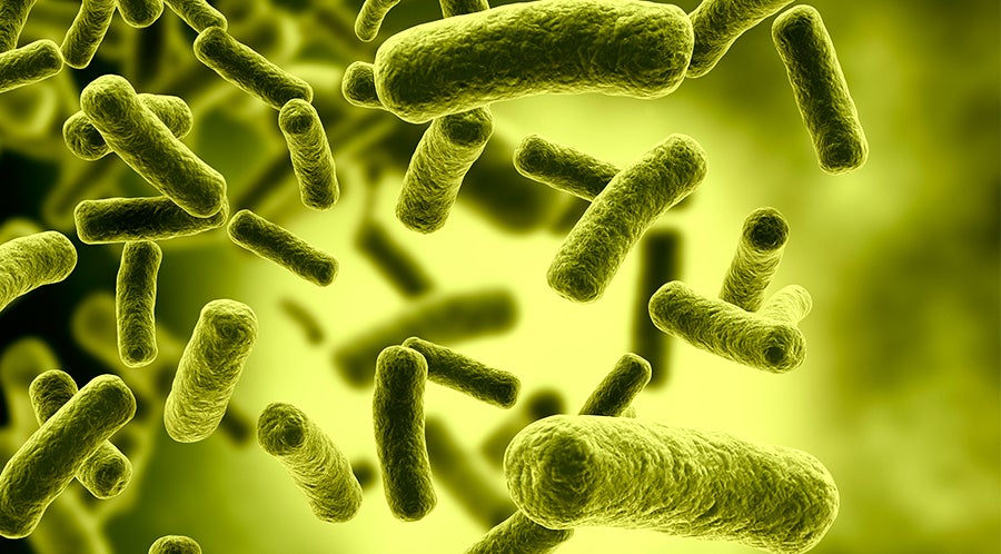 bacterias que previenen el COVID