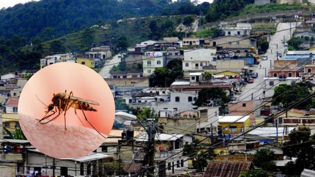 malaria en Santa Rosa de Copán