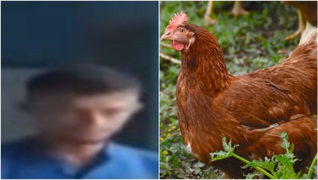 hombre detenido por robar gallina en Olanchito