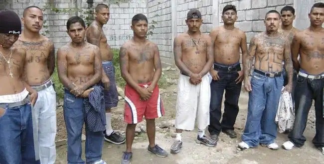 pandilleros salvadoreños en Honduras