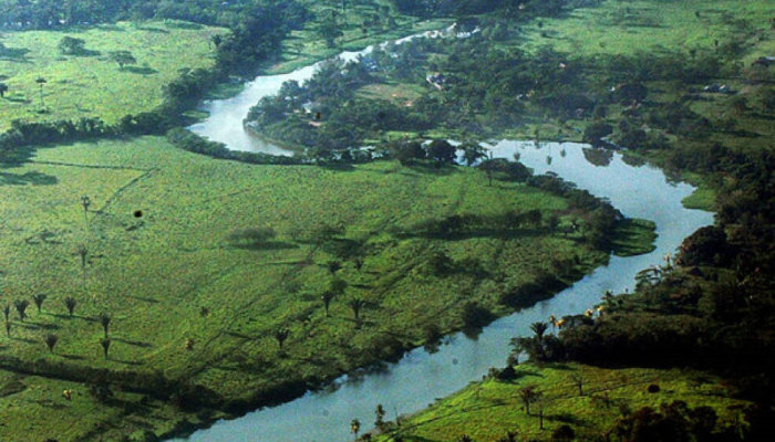 Pueblos indígenas piden detener tala en Biósfera del Río Plátano