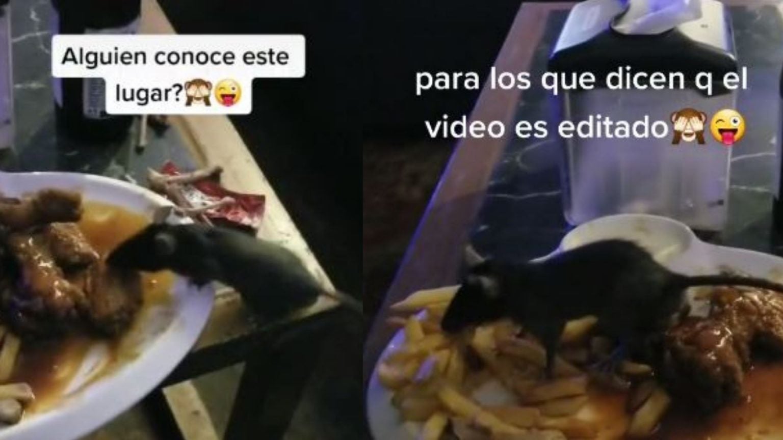 Captan ratones robando comida en local de Danlí bar aclara