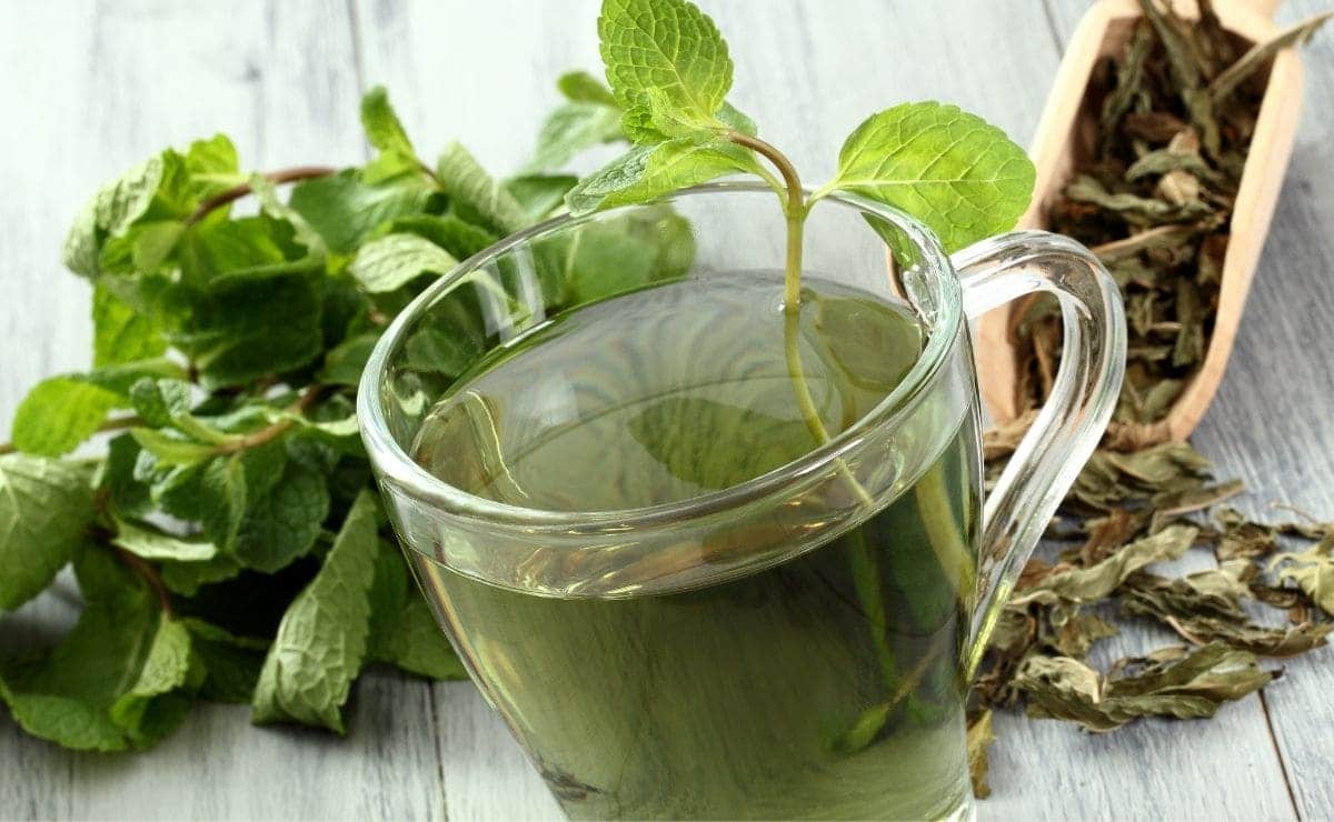 beneficios té verde ciencia