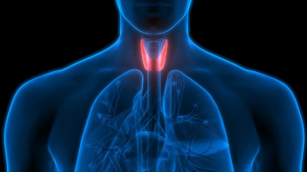 malos hábitos afectan la tiroides