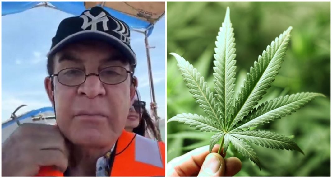 Cultivo de cannabis en Honduras