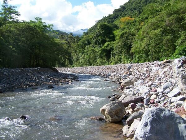Río Talgua está muriendo