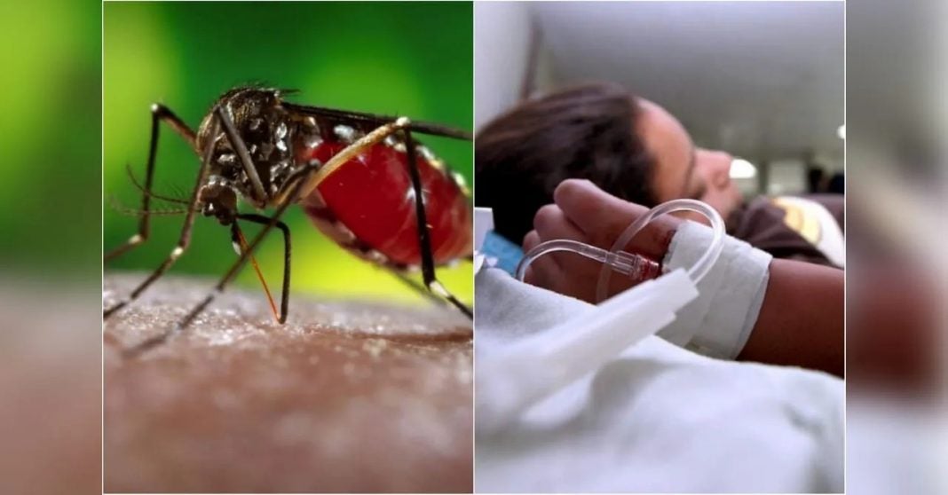 Cómo prevenir dengue Honduras