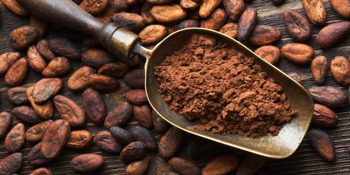 Honduras perdió toneladas de cacao