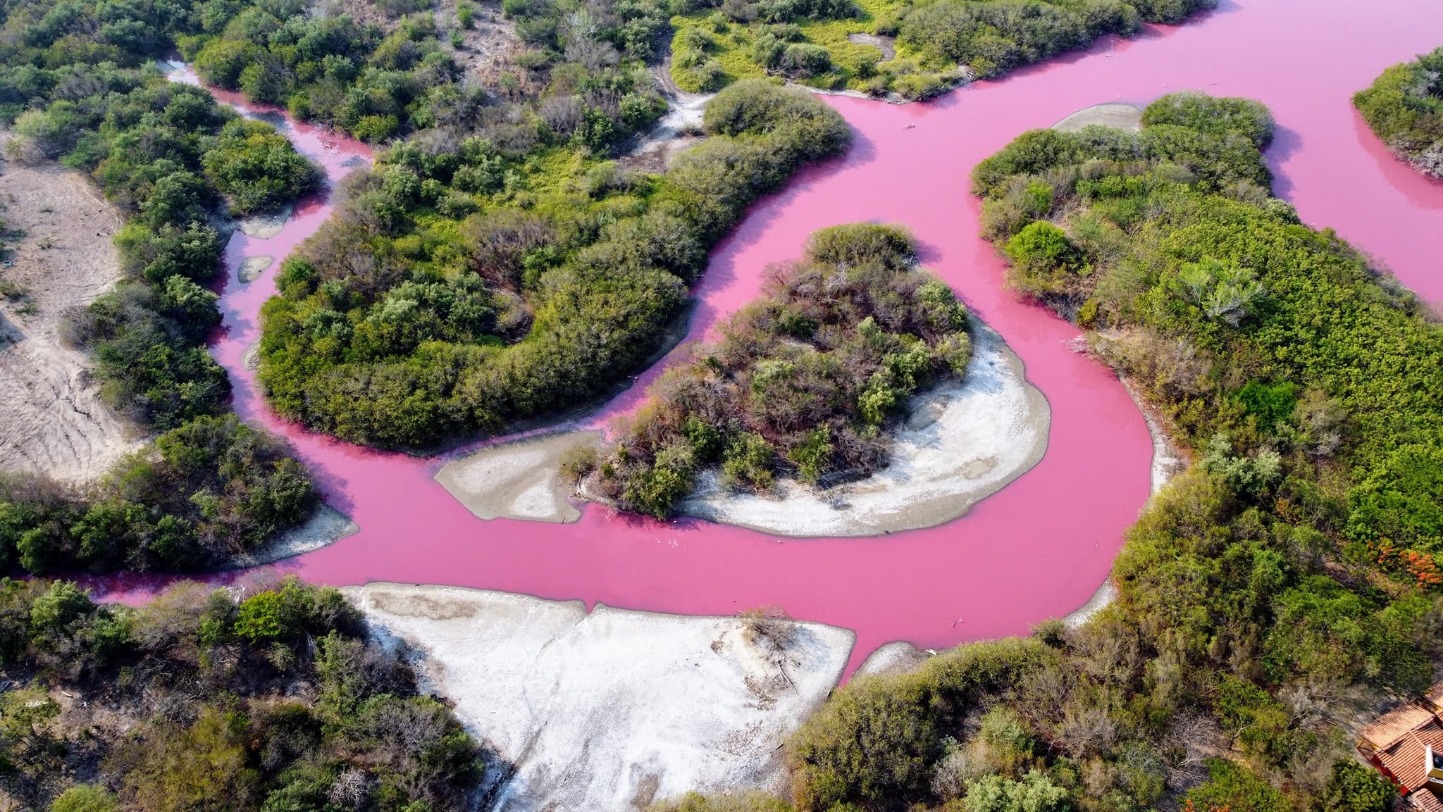 Laguna rosada