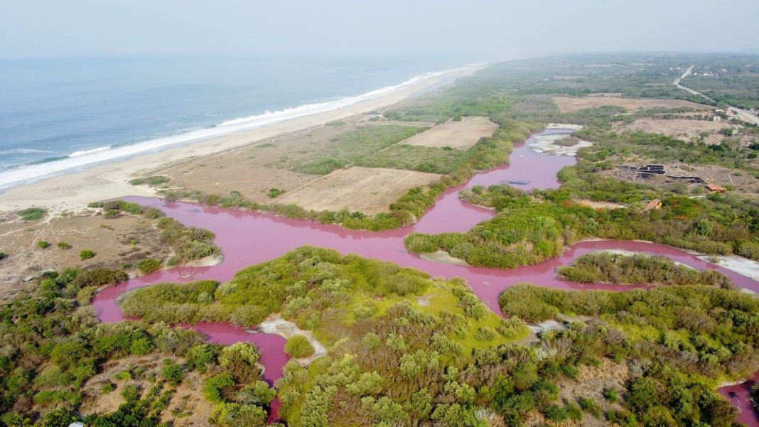 Laguna rosa en México
