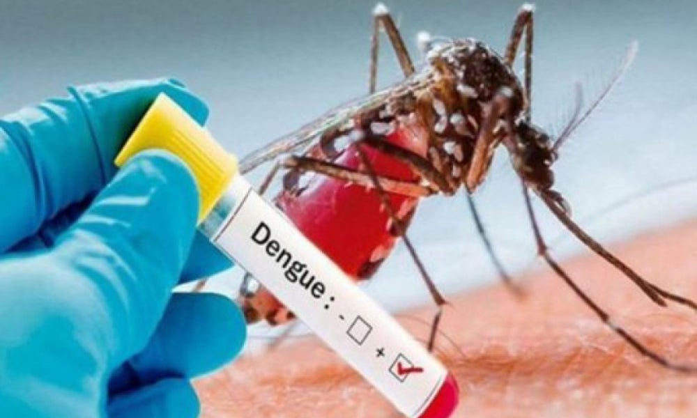 casos de dengue Honduras 2022