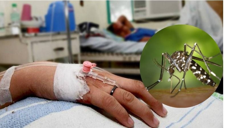 casos de dengue en Hospital Escuela