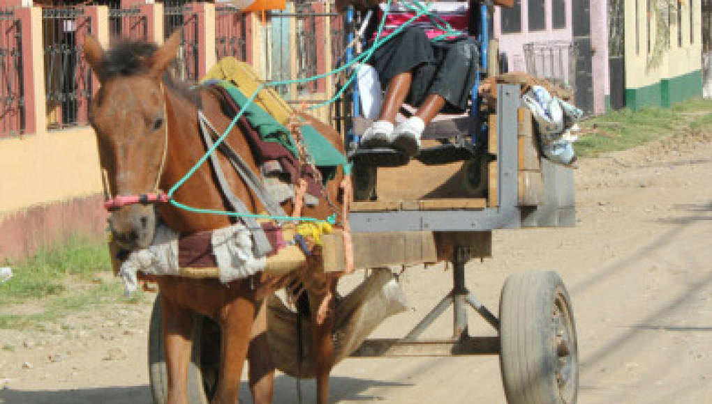 Muchos hondureños se han pronunciado pues han notado bastantes carretas de caballo en la ciudad.