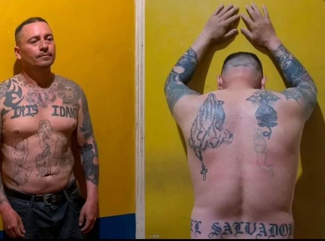 El hombre tiene diferentes tatuajes en su pecho, abdomen, espalda y brazos.