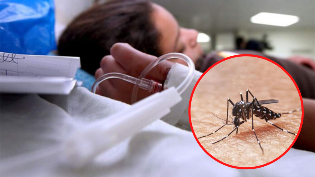 Salud confirma 21 casos de dengue con signos de alarma en el DC