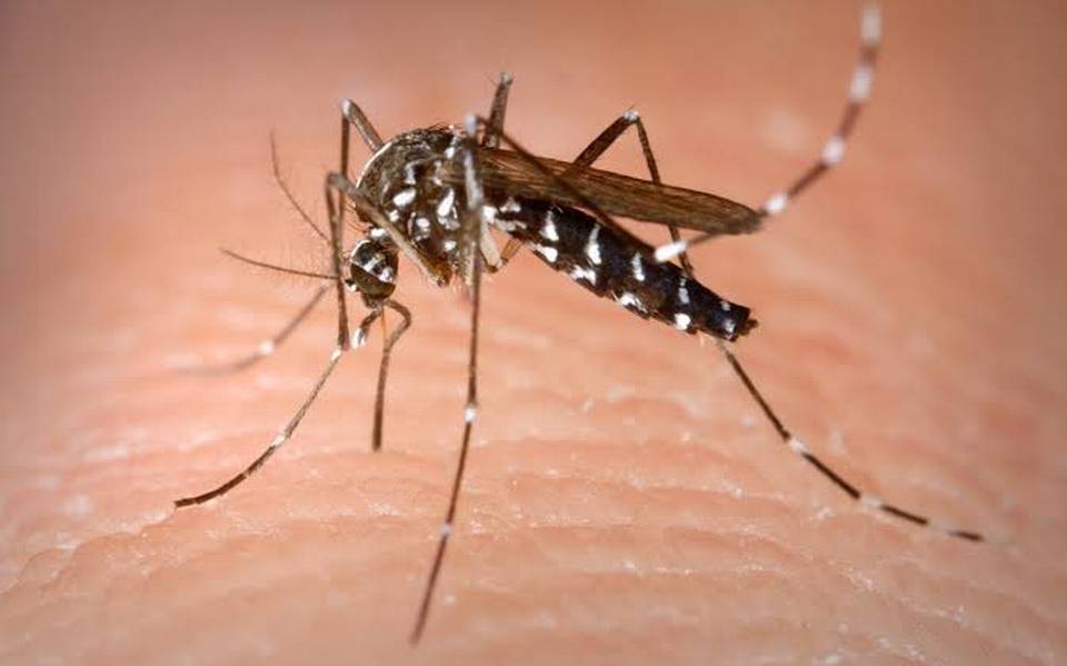 Dengue aumento Honduras 