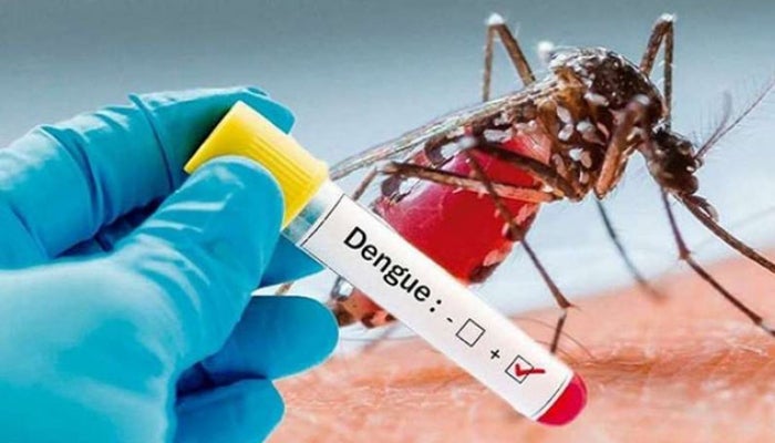 menores ingresados por dengue en Materno Infantil